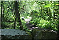 Path on Cwm-corrwg Bridge