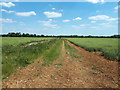 SP1603 : Farm track looking towards Hatherop Downs Buildings by Vieve Forward
