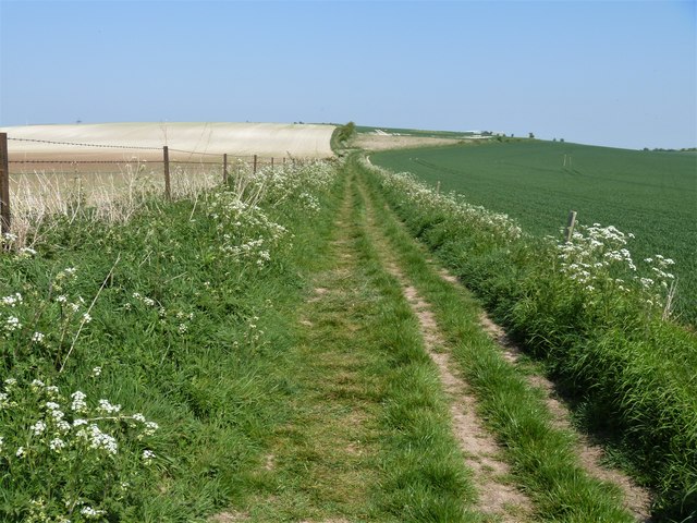 A walk from Edington to the Plain and return [50]