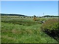 Field and hedgerow alongside Lead Road