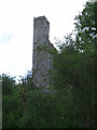 R4453 : Castles of Munster: Bolane, Limerick by Garry Dickinson