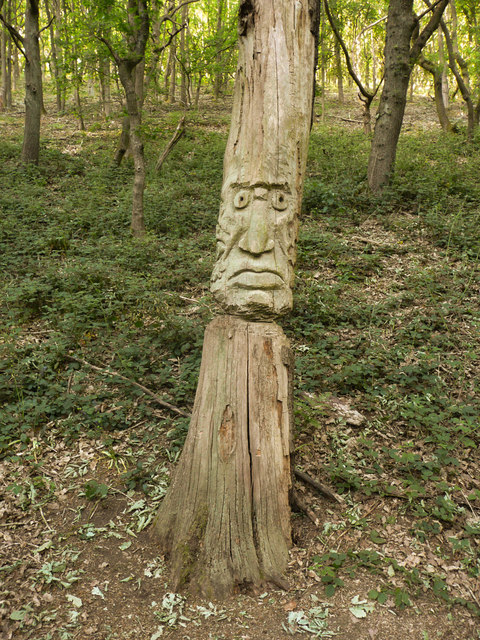Carved head of grumpy old man, Elland Park Wood