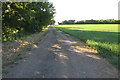 Footpath towards the moat