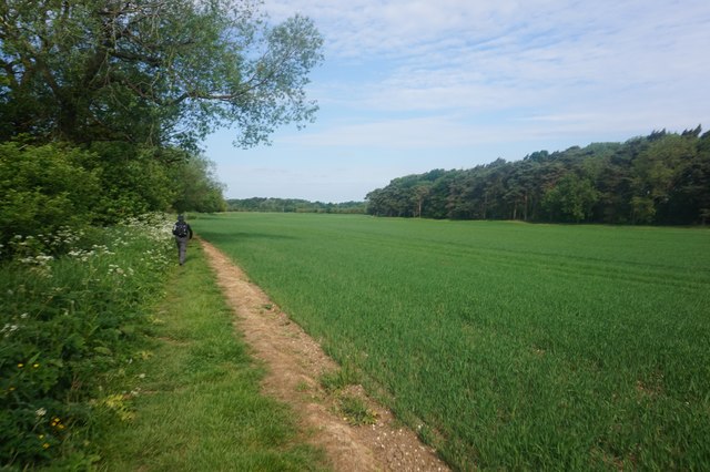 Path leading to Kilnwick