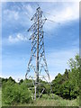 Electricity Pylon near Seghill