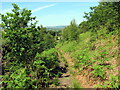 Llwybr ger Pen-lan Path near Pen-lan