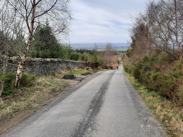 The road on Leadpipe Hill in Slaley Forest