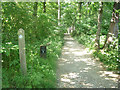 Oulton Park golf course - permissive path