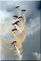 SD4264 : Falcons parachute team by Ian Taylor