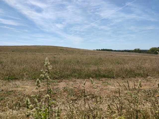 Unnamed Hill near Bailes Farm