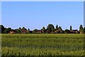 Thruffle Way, Bar Hill, from Pettitt?s Lane,  Dry Drayton