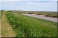 Saltmarsh West of Middle Beach