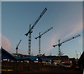 Leeds outdoor market and cranes in the early morning