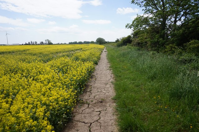 Path leading to Little Lane