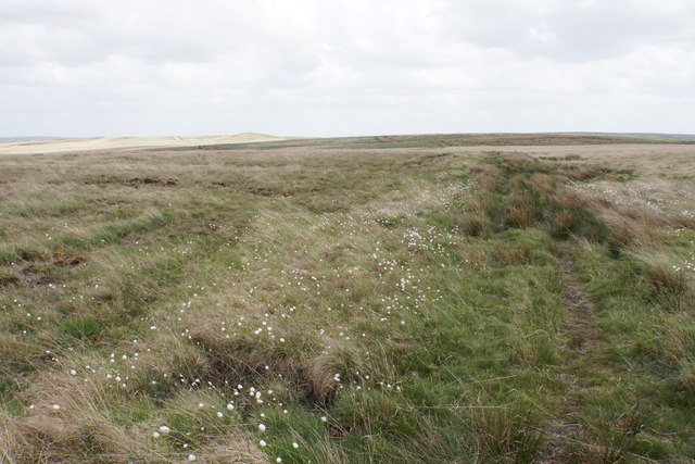 Path on Edgerton Moss