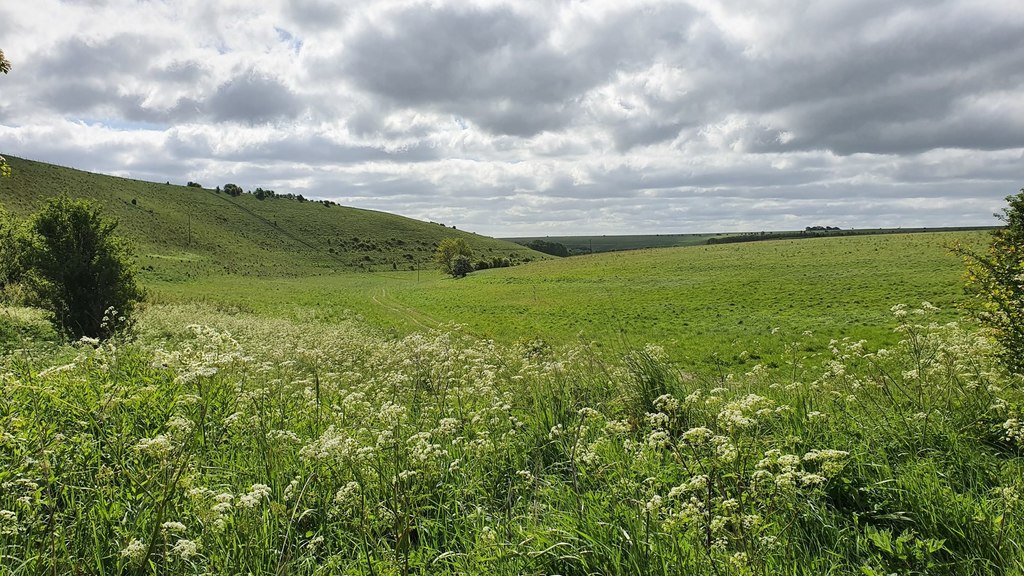 Great Cheverell Hill © Rebecca A Wills cc-by-sa/2.0 ...