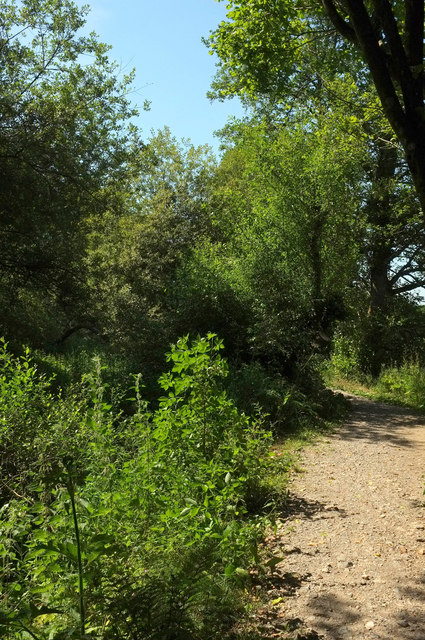 Templer Way approaching Teigngrace © Derek Harper :: Geograph Britain ...