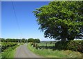 Road near Little Kype