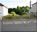 Path on the north side of Graig Park Avenue, Newport