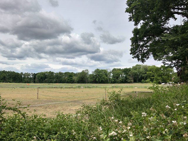 Field near Manor Farm