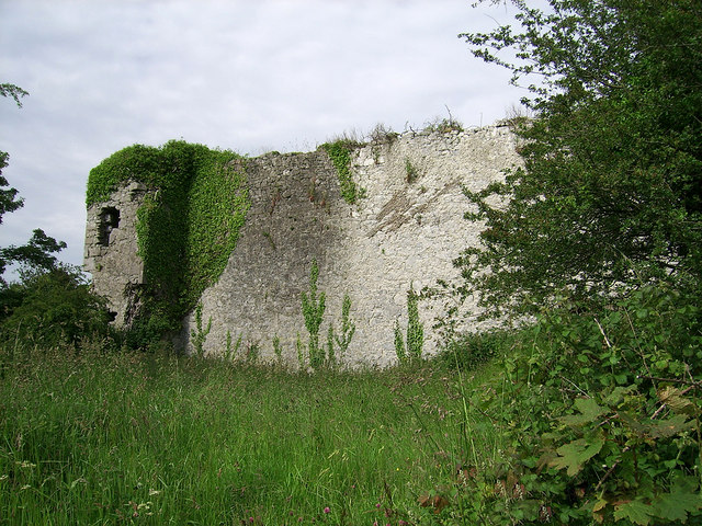 Castles of Munster: Ballyculhane, Limerick (2)