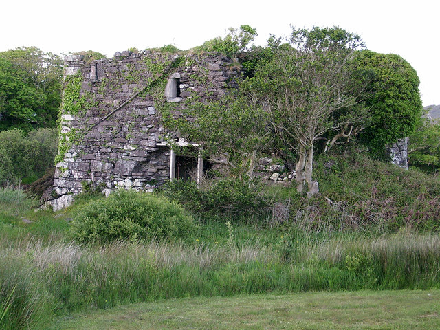 Castles of Munster: Castle Cove or Bunaneer, Kerry (3)