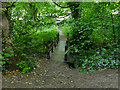 Footbridge in Gledhow Valley Woods