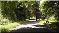 Main Driveway into Carnagh Forest