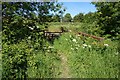 Remains of a footbridge