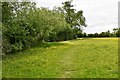 St. James South Elmham: Public footpath through a field of buttercups