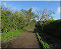TL6558 : Bridleway from Ditton Green by Hugh Venables