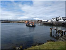 C8540 : Portrush Harbour by Willie Duffin