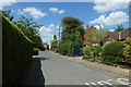 Tom Cat Lane in Bickerton