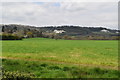 View to North Downs from Greensand Way