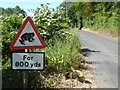 Toads crossing sign in Stalisfield Road