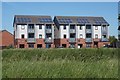 Houses on Exeter Grove, Hull