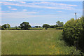 Field beside Carnforth Hall Lane