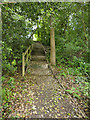 Steps to Outwood Lane