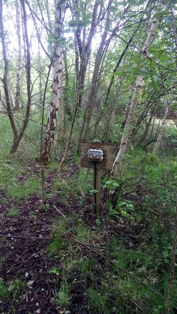 Double Plug Socket on a Post in Wooded Area