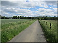 Road near Lower Carbarns