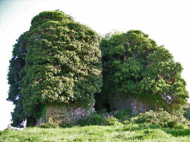Castles of Munster: Kilfeakle, Tipperary (1)