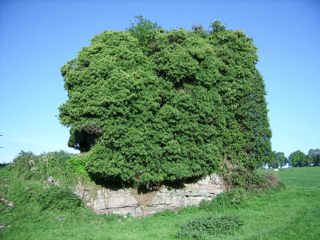 Castles of Munster: Kilfeakle, Tipperary (2)