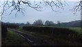 Nethermoor Farm Track / Bridleway