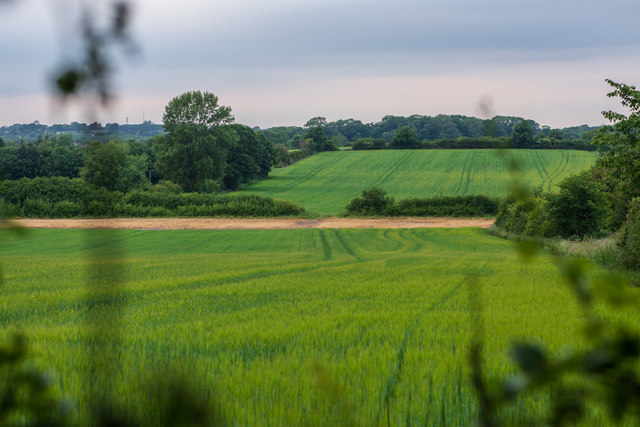Agricultural fields near Featherbed Lane, Ashby-de-la-Zouch