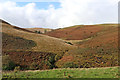 SN7453 : Doethie moorland near Llethr Llwyd, Ceredigion by Roger  D Kidd