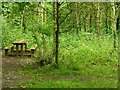 SK6942 : Picnic table in Springdale Wood by Alan Murray-Rust