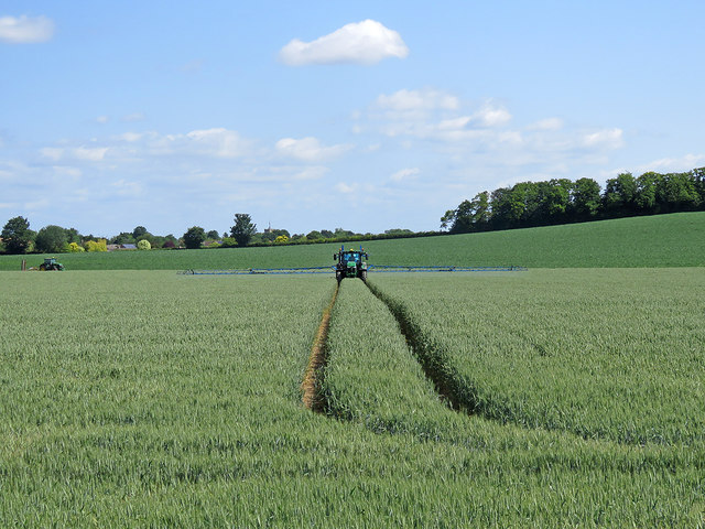 Spraying wheat south of Foxton