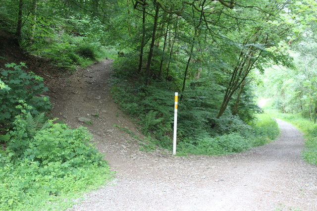 Start of hillside path, Cwm Big