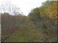 Former track alongside steel works freight line