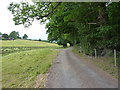 Footpath and track beside Chilton Larches